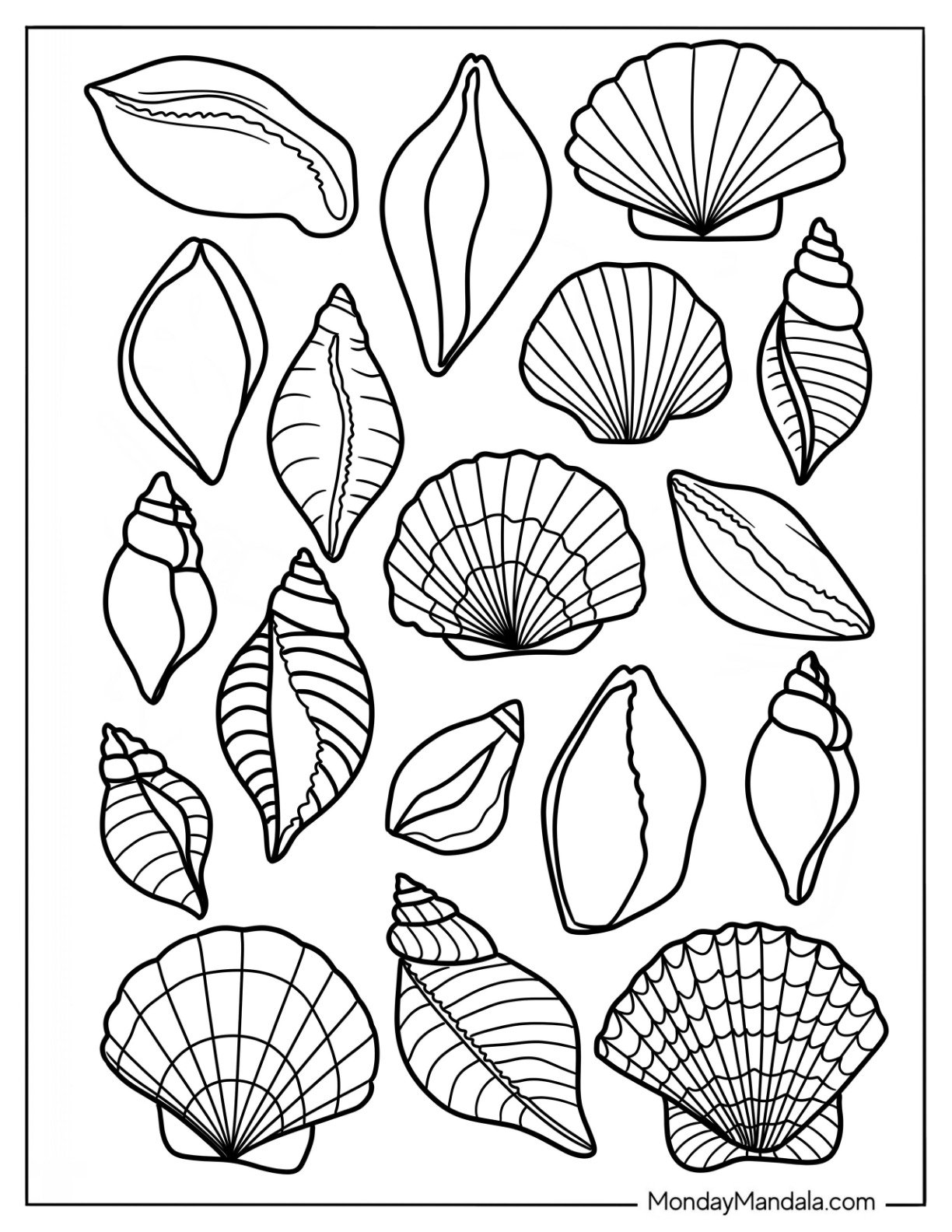Summer Coloring Page Of Full Page Realistic Seashells